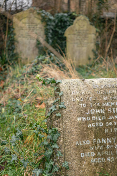 istock A weathered gravestone entwined with ivy 2195076459