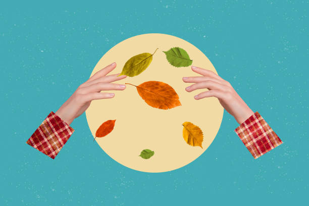 Composite trend artwork sketch image 3D photo collage of two huge hands throw dry autumn leaves green orange yellow colored fall season.