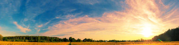 istock View of a wheat field with beautiful sunset sky. Panorama. Horizontal banner 2195077605