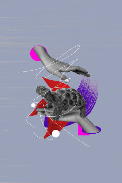istock Vertical creative image poster cute small turtle animal hold hands palms biology ecosystem fauna wildlife drawing background 2195078767