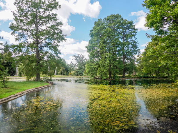 istock Pond of Cincinnati Finneytown historical cemetery Graveyard 2195078883