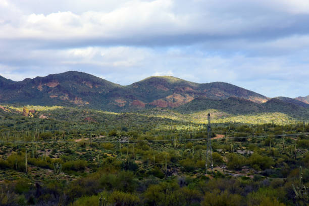 Superstition Mountains foothills Sonora desert Arizona mid morning