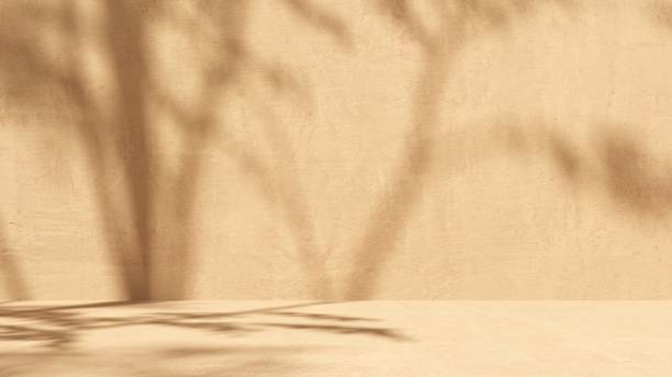 istock Unobtrusive natural pastel background with shadows on the wall, exterior - 3d render. 2195081214
