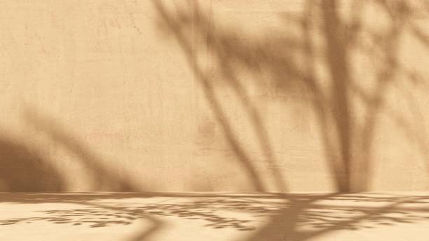 istock Unobtrusive natural pastel background with shadows on the wall, exterior - 3d render. 2195081224