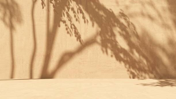 istock Unobtrusive natural pastel background with shadows on the wall, exterior - 3d render. 2195081244