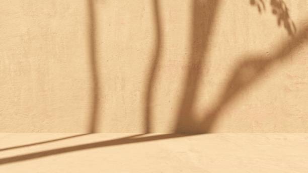 istock Unobtrusive natural pastel background with shadows on the wall, exterior - 3d render. 2195081261