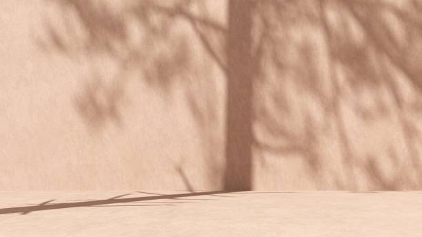 istock Unobtrusive natural pastel background with shadows on the wall, exterior - 3d render. 2195081343