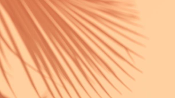 istock Unobtrusive natural pastel background with shadows on the wall, exterior - 3d render. 2195081442