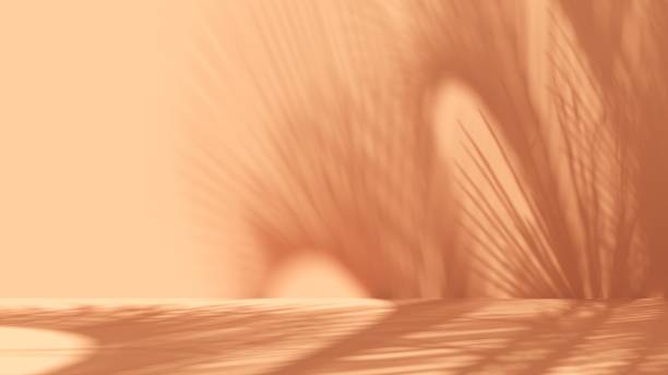 istock Unobtrusive natural pastel background with shadows on the wall, exterior - 3d render. 2195081457
