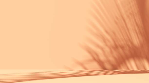 istock Unobtrusive natural pastel background with shadows on the wall, exterior - 3d render. 2195081479