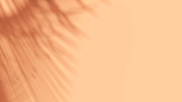 istock Unobtrusive natural pastel background with shadows on the wall, exterior - 3d render. 2195081493