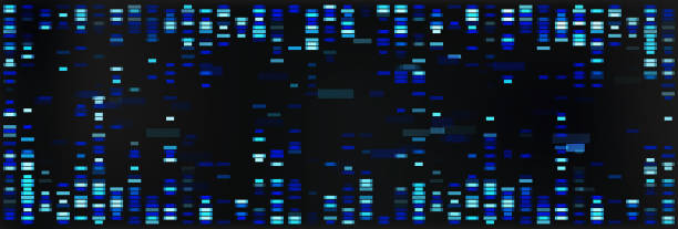 DNA sequence map with genetic data pattern. Abstract chromosome visualization for medical test and analysis. Science and biology bg graphic design with x and y genome evolution. Glitch wallpaper. DNA sequence map with genetic data pattern. Abstract chromosome visualization for medical test and analysis. Science and biology bg graphic design with x and y genome evolution. Glitch wallpaper sequential series stock illustrations