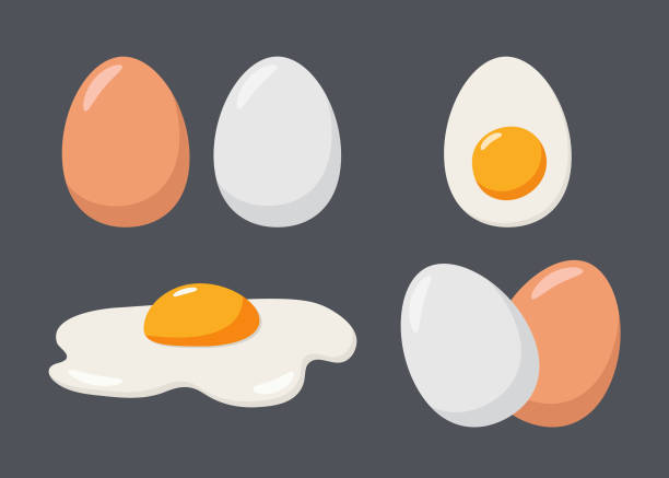 illustrazioni stock, clip art, cartoni animati e icone di tendenza di uova fritte. - uovo alimento di base
