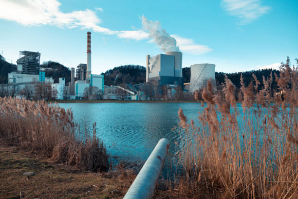 Intricate lines of high-voltage cables and insulators dominate the landscape, forming a key junction in the electricity supply chain. This facility is crucial for regulating and distributing power across vast distances.