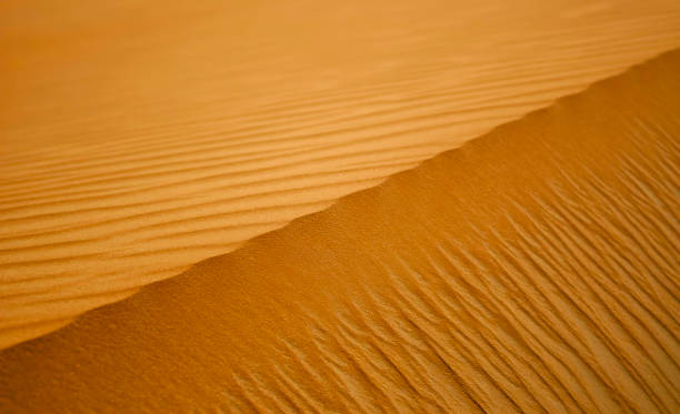 istock Golden Sand Dunes with Textured Surfaces and Flowing Patterns in Desert Environment 2195096886