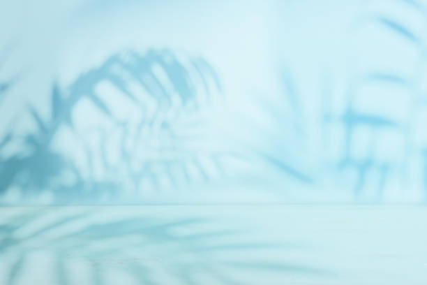 istock White background for product display or mock up with shadow and light. 2195098913