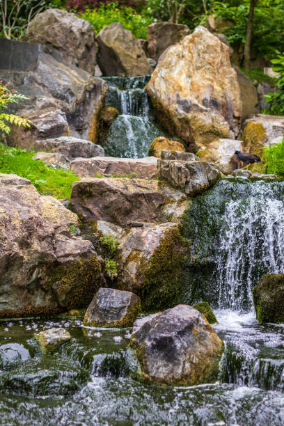 istock Serene Waterfall Surrounded by Lush Greenery and Moss-Covered Rocks 2195100423