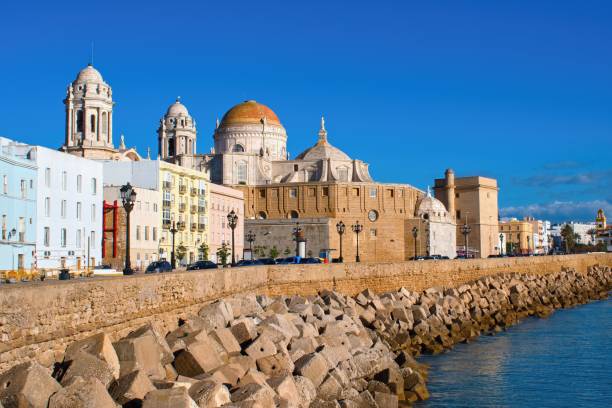 istock Cathedral de Santa Cruz, Cadiz, Andalusia, Spain 2195100569
