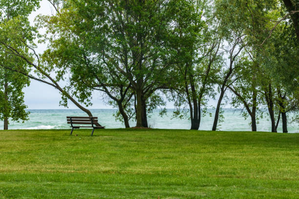 istock Serene Park Setting by the Lake with Bench Under Shady Trees 2195100994