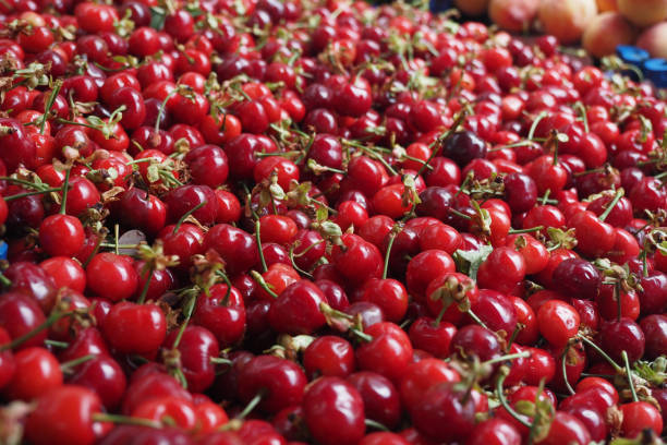 ripe fresh cherry selling on super market ,