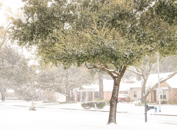 Winter storm Enzo blankets Houston with snow