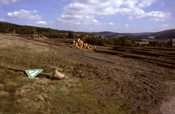 end of nature reserve through extensive Deforestation with the sign on the floor