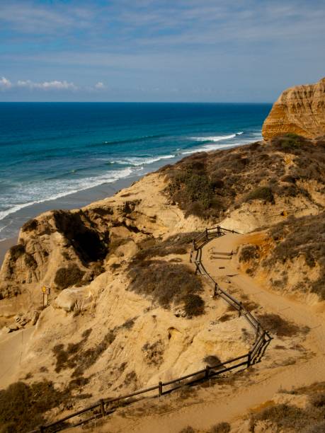 istock Torrey pines nature reserve 2195103901