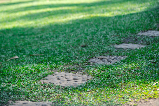 Garden stepping stone path through green grass lawn. Big garden