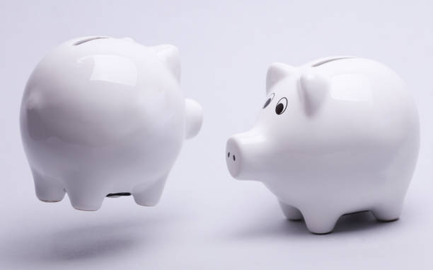 istock Two ceramic piggy banks on a white background 2195107555
