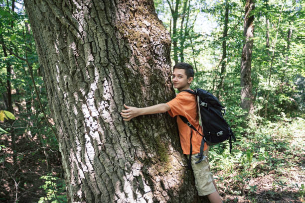istock Boy expresses joy hugging a tree in the green forest. 2195112094