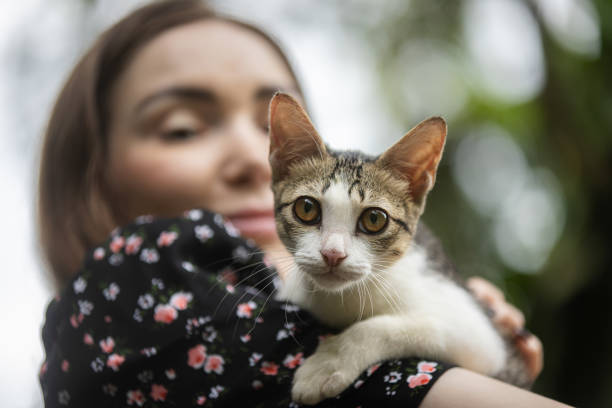 istock Young woman is holding a stray cat. 2195112426