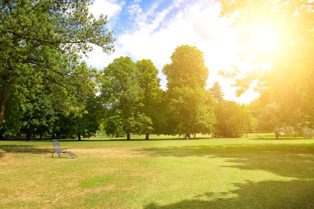 Recreation area covered with green grass in city park.