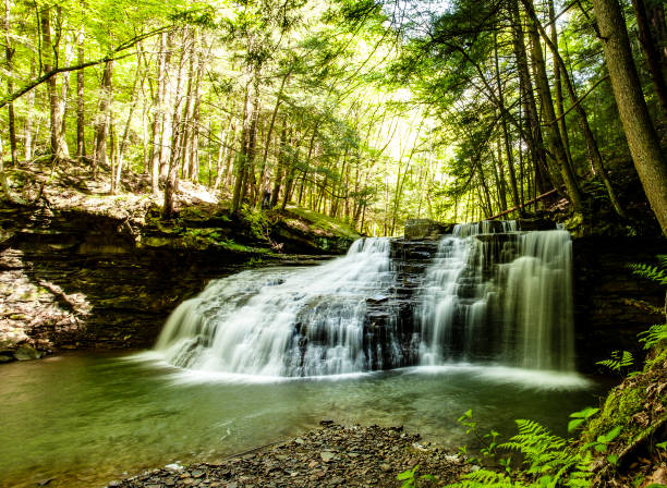 istock Peaceful Freedom Falls Waterfall Cascading Through Forest Landscape Illuminated by Sunlight 2195115212