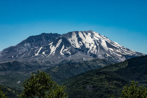 A serene landscape showcasing the majestic Mount St. Helens, adorned with seasonal snow, surrounded by verdant forests under a bright sunny sky, emphasizing nature's beauty and the prominence of the mountain.