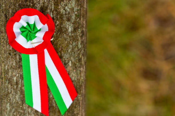 istock Hungarian tricolor cockade 2195118611