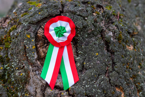 istock Hungarian tricolor cockade 2195118612