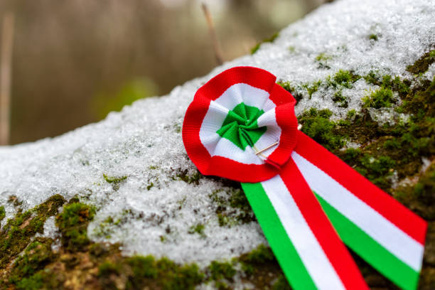 istock Hungarian tricolor cockade 2195118626