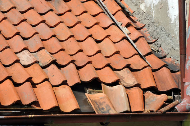 istock tiled roof with the destruction 2195120074