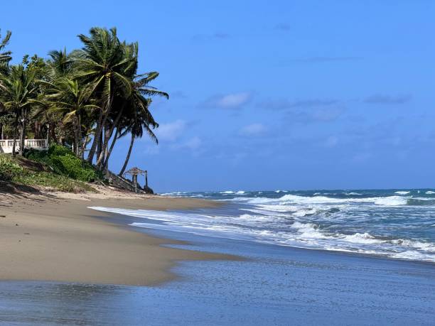 istock Cabarete Beach Dominican Republic 2195120792