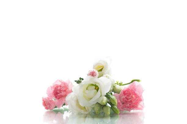 Flower bouquet for romantic mood , isolated on white background .