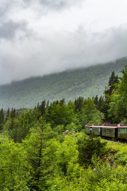 istock Vintage Train Journey Through Misty Mountain Forest Landscape 2195122133