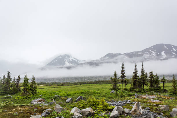 istock Scenic Mountain Landscape with Lush Green Foliage and Low-Lying Clouds 2195122780
