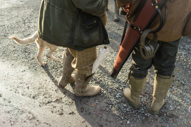 Gun dogs standing with their beaters at a game shoot