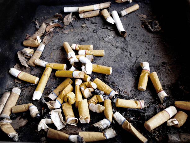 istock Cigarette Butts in Ash Tray Ashtray Smoking Trash 2195124290