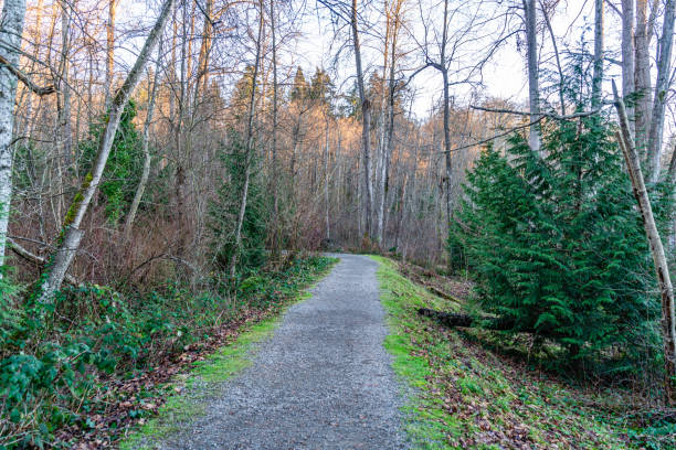 istock City Park Winter Trees 3 2195126010