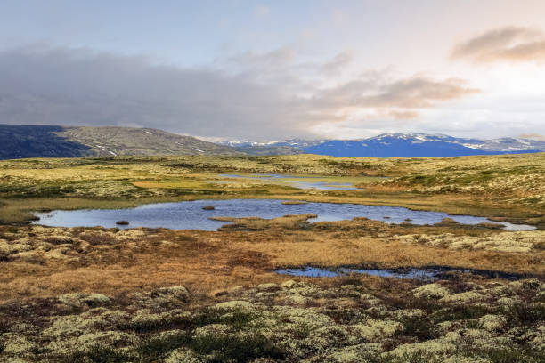 istock Mountains massif in Innerdalen (Innset), Norway 2195127464