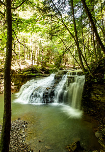 istock Scenic Freedom Falls PA Waterfall Amid Dense Forest in Natural Wilderness Area 2195130632