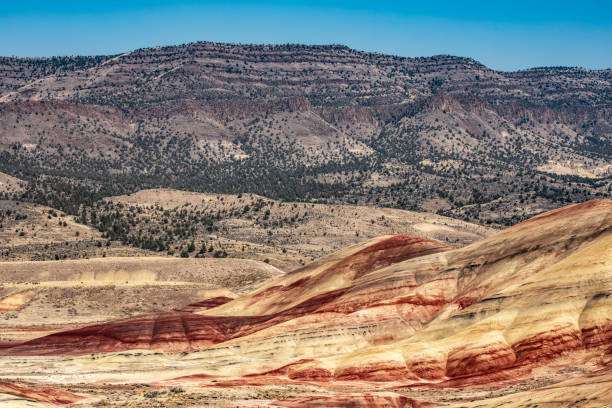 istock Vibrant Painted Hills in an Arid Desert Landscape Against a Mountainous Backdrop 2195132121