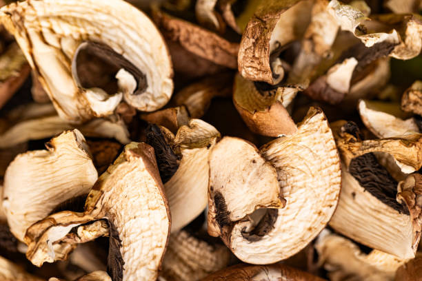 Flavorful dried mushrooms with a rich earthy taste perfect for soups and sauces. Part of a food series.