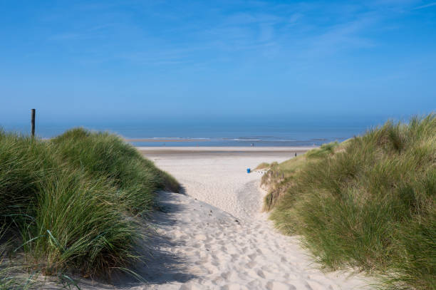istock Dunes with beach grass and the sea 2195134634
